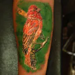 Bird Tattoo Marmaris
